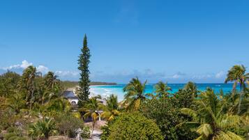 A tropical resort with a view of the ocean, palm trees, and a clear sky.