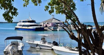Conch Shell Harbour Island 5 Bedroom Home