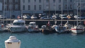 A marina with various boats docked, a prominent church spire in the background, and a row of buildings with visible signage.