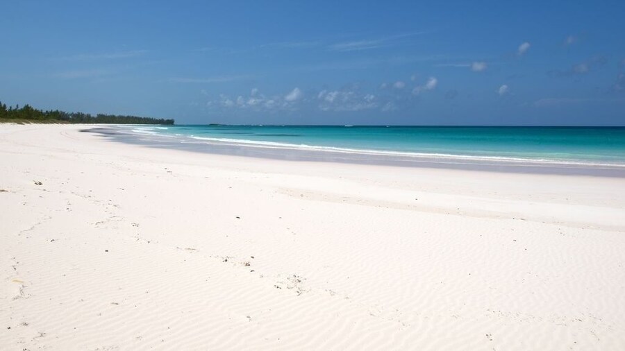 French Leave South Beach Dogtrot Villa 2 Bedroom Villa