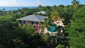 Una casa con piscina rodeada de abundante vegetación y palmeras.