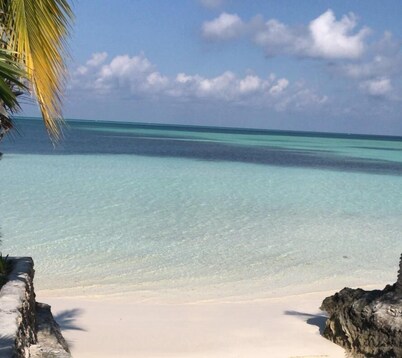 Duck Out 3卧室的家