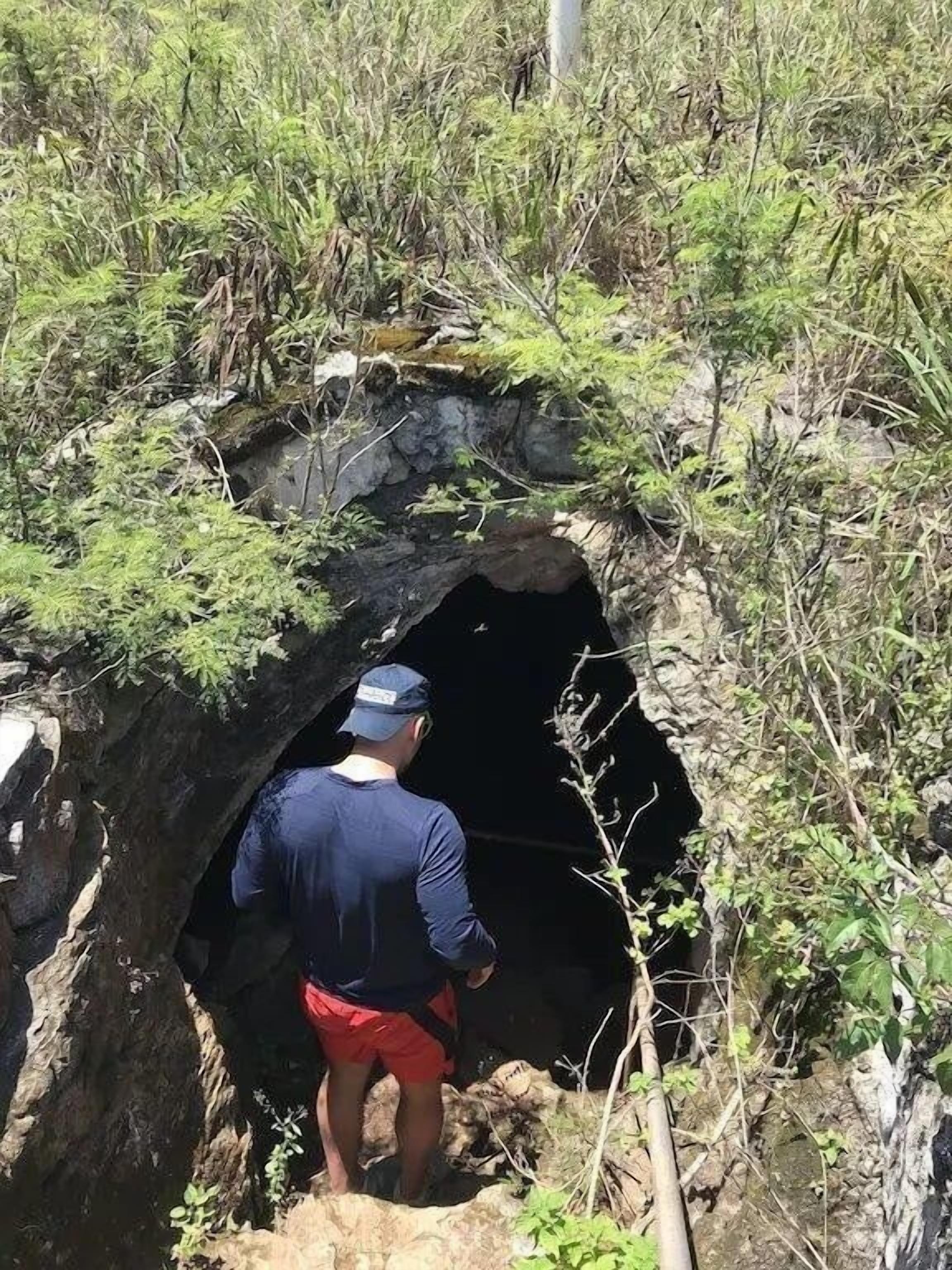 A person standing at the entrance of a cave-like structure surrounded by vegetation.