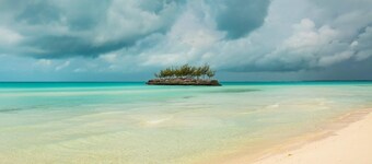 Palm Bluff 2 Bedroom Cottage