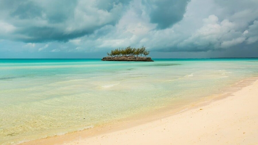 Palm Bluff 2 Bedroom Cottage