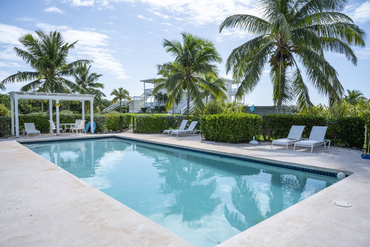 A swimming pool with lounge chairs and a covered area, surrounded by palm trees and greenery.