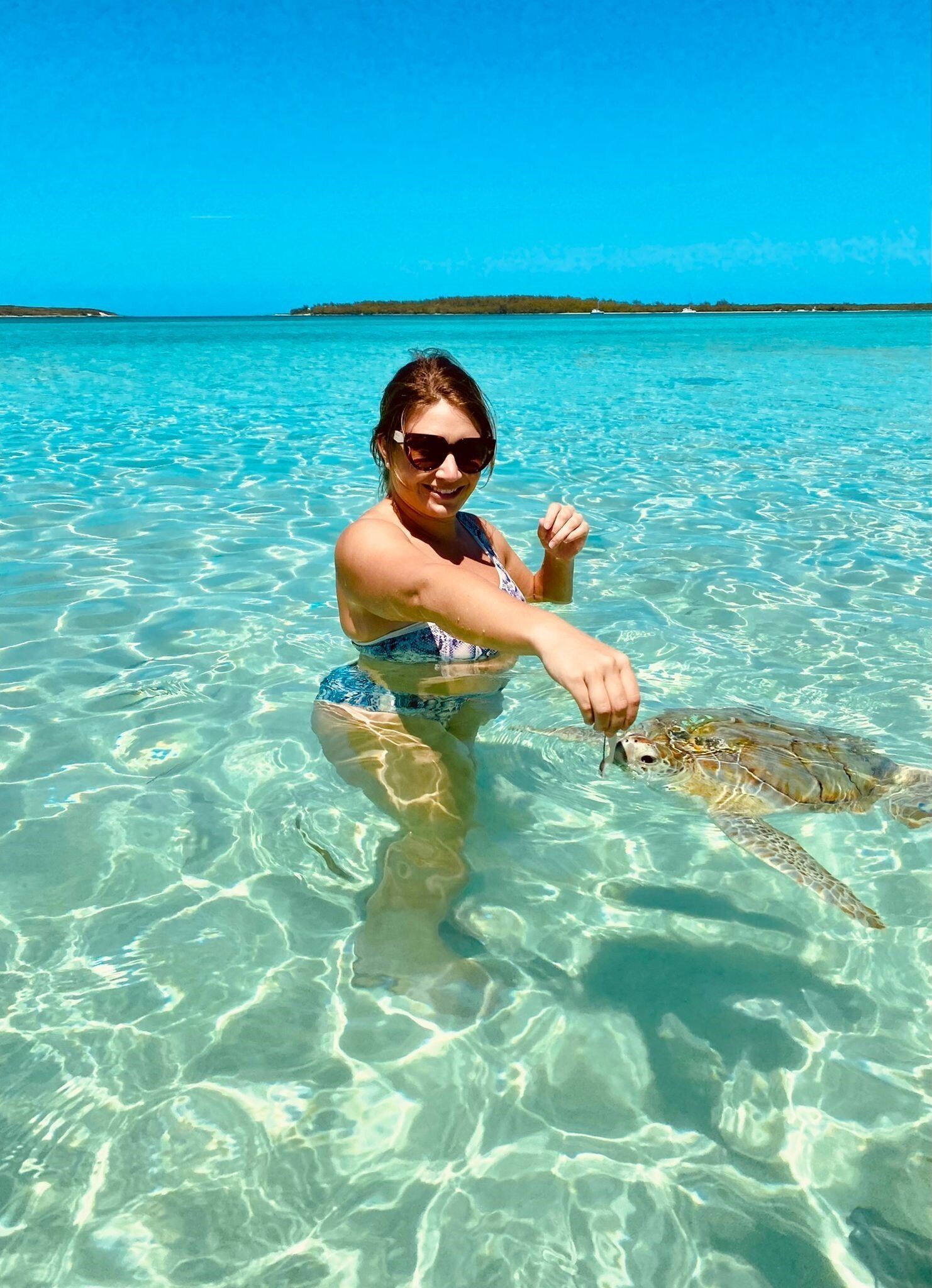 Une personne se tient dans une eau claire et tient une tortue de mer.