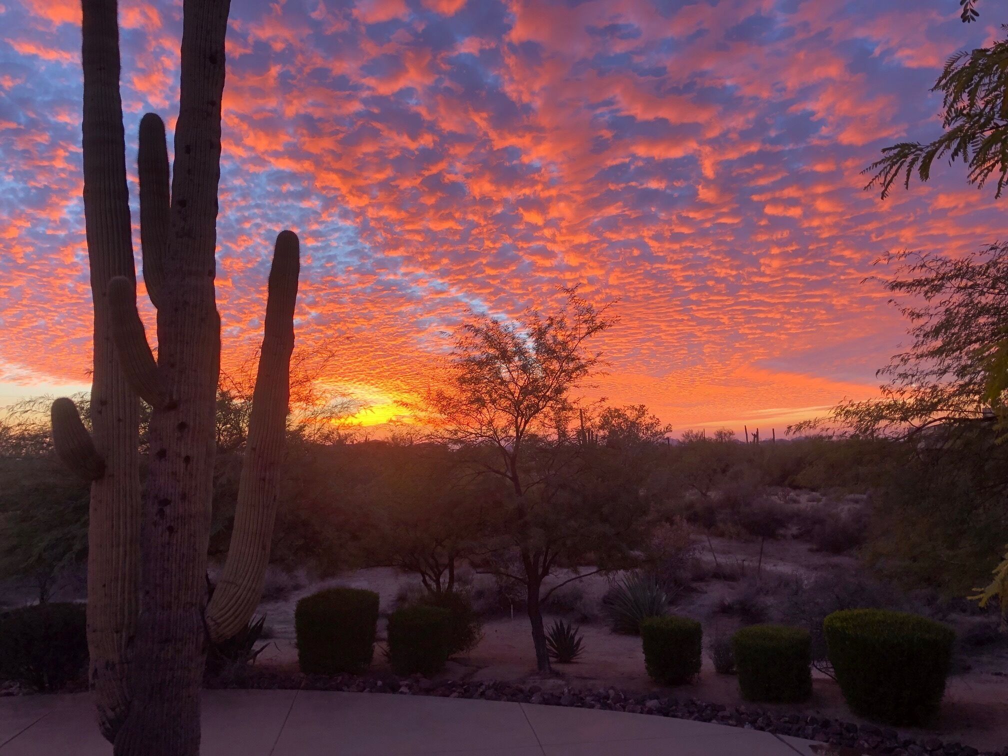 Beautiful desert retreat in the heart of McCormick Ranch!