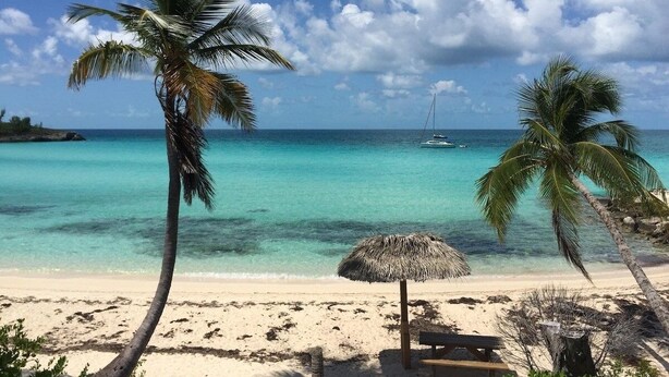 Una playa con agua turquesa cristalina, palmeras y una sombrilla de paja.