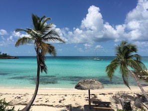 A beach with clear turquoise water, palm trees, and a thatched umbrella.