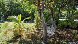 Una hamaca atada entre árboles en un jardín exuberante, con una palmera y follaje denso al fondo.
