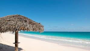 Une plage avec un parasol en chaume et un rivage sablonneux.