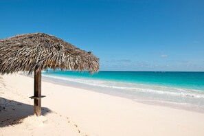 Une plage avec un parasol en chaume et un rivage sablonneux.