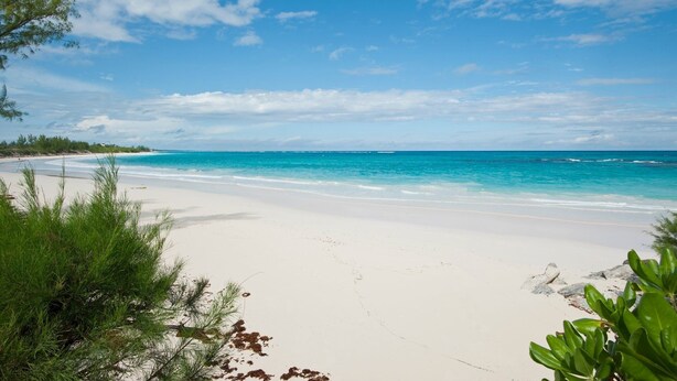 Een strand met helder turquoise water, wit zand en schaarse begroeiing.