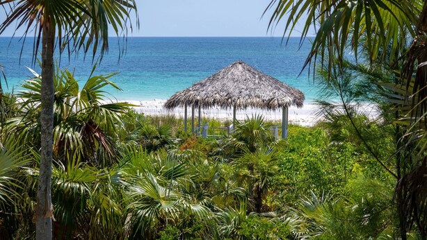 Una platja amb una cabana de palla, envoltada de vegetació exuberant i un oceà blau cristal·lí.