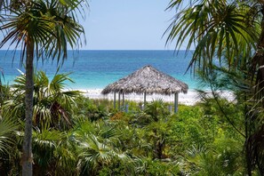 A beach with a thatched hut, surrounded by lush greenery and a clear blue ocean.