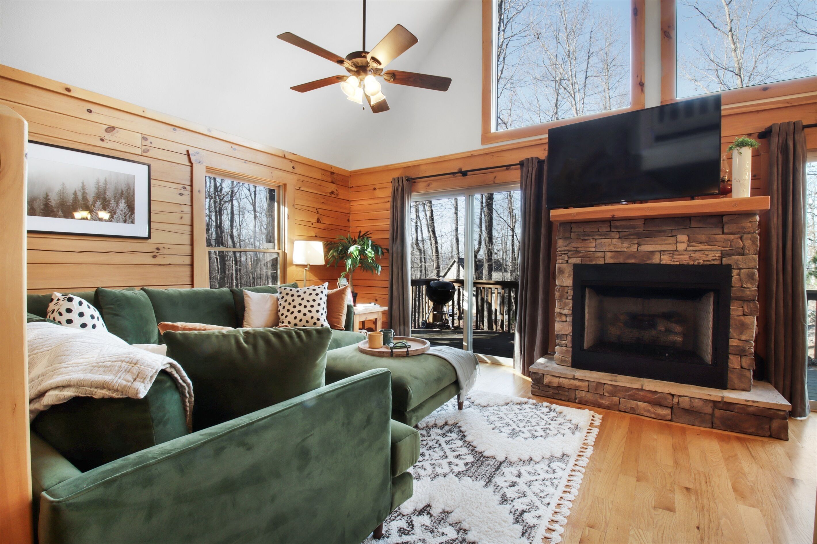 TV connectée, cheminée, lecteur de DVD, livres