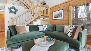 Smart TV, fireplace, DVD player, books