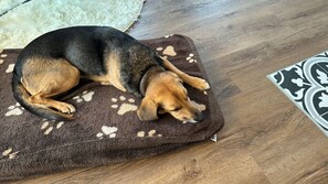 Unclassified image, 5 of 29, button