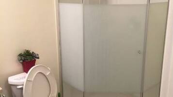 Shower, towels, soap, toilet paper