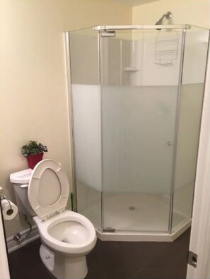 Shower, towels, soap, toilet paper