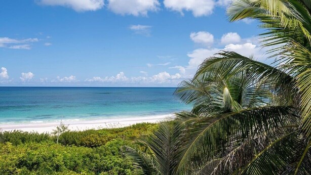 Una playa con agua azul cristalina y arena blanca, rodeada de abundante vegetación y palmeras.