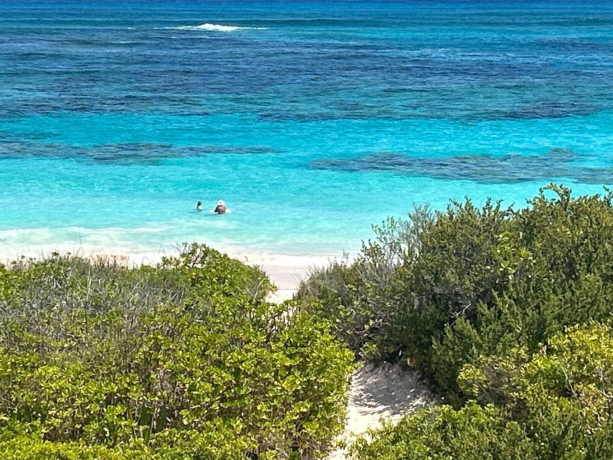 Une plage avec une eau turquoise et limpide, deux personnes qui nagent et un feuillage vert et luxuriant au premier plan.