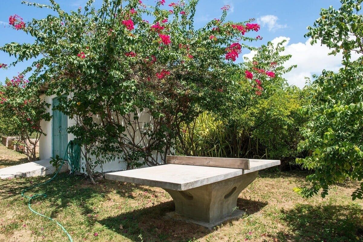 Eine Betonbank in einem Garten mit blühenden Pflanzen und einem grünen Gartenschlauch.