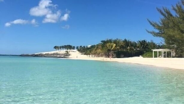 A beach with clear turquoise water, white sand, and a few palm trees.