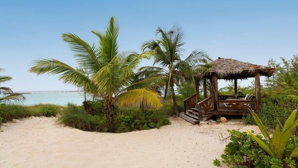 A beach with a wooden gazebo and palm trees.