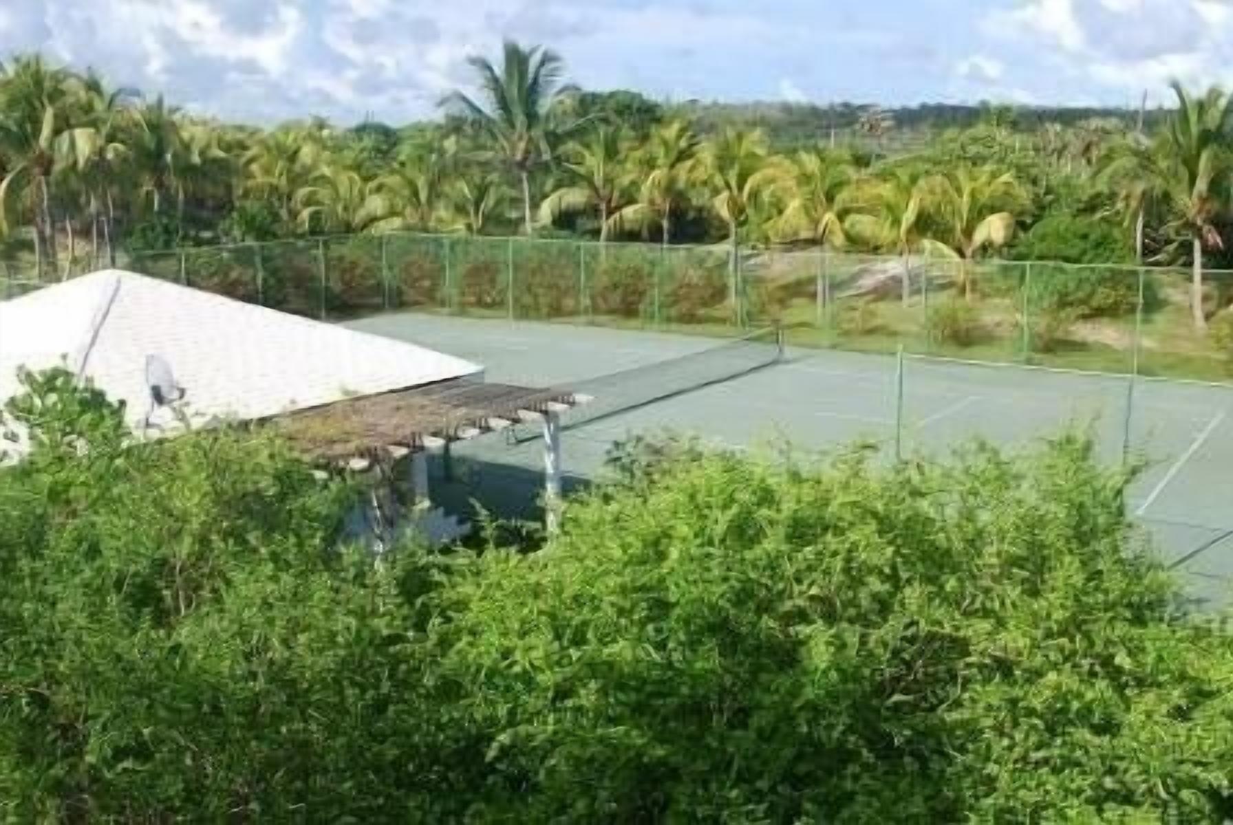 Un campo da tennis con una rete, circondato da una vegetazione lussureggiante e palme.