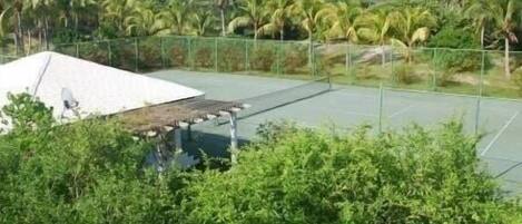 Un campo da tennis con una rete, circondato da una vegetazione lussureggiante e palme.
