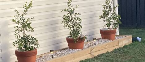 Áreas de la propiedad