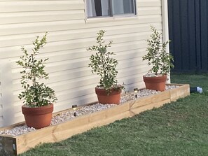 Property grounds - “Joy” cottage 10km from the Hunter Valley wineries, close to everything. (Cessnock)