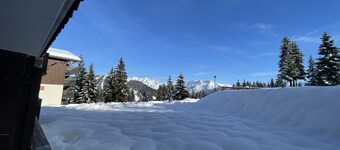 Reindeer forest apartment