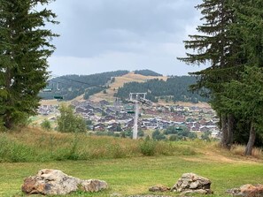 Exterior - Reindeer forest apartment (Villard-sur-Doron)