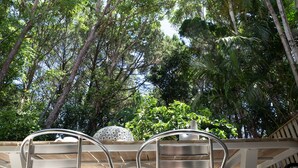 An outdoor seating area with metal chairs and a wooden table, surrounded by lush greenery and tall trees. - Combi's Cove, Byron beachside oasis - NEW listing specials - Enquire Now. (Suffolk Park)