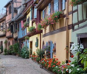 Eine gepflasterte Straße gesäumt von bunten Fachwerkhäusern, jedes mit leuchtenden Blumenkästen und hängenden Pflanzen geschmückt.