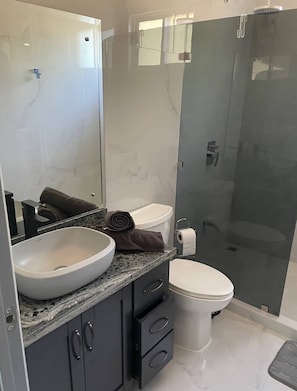 Eco-friendly toiletries, hair dryer, towels