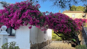 A white building with pink bougainvillea vines, a tiled patio, and a stone wall.