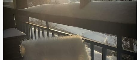 Terrain de lâhĂ©bergement