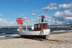 Port esportiu