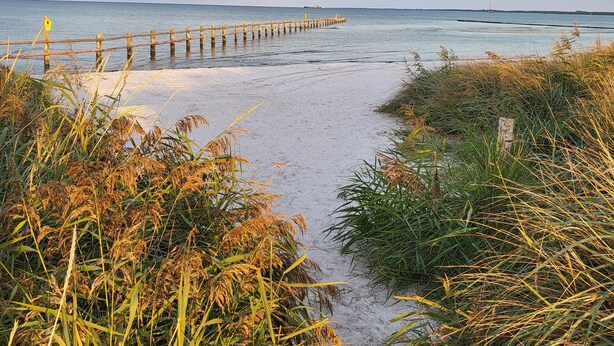A sandy beach with a wooden pier extending into the water, surrounded by tall grasses. - Old kindergarten - now home to Baltic Sea vacationers (Fuhlendorf)