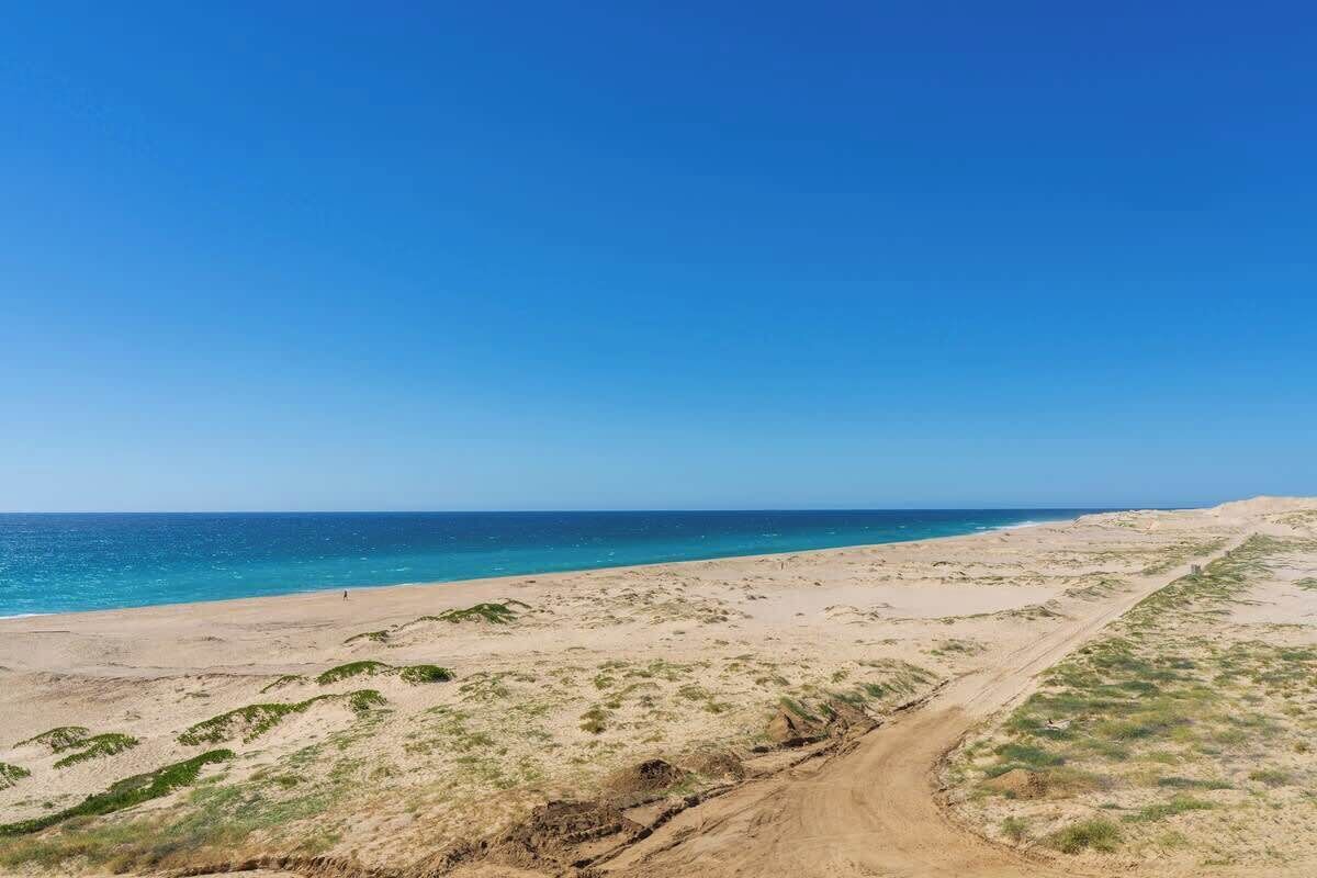Un paisaje costero con un sendero de tierra que lleva a la playa.