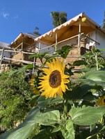 Roupas de cama premium, edredons de pluma