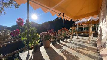 A terrace with potted plants and a wooden table under a canopy.
