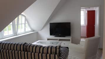 Televisor i estèreo