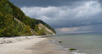 Fantastic vacation home on the coastal forest with terrace and child-friendly garden