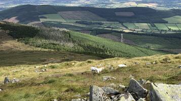 A mountainous landscape with a winding road, rocky terrain, and patches of grass.
