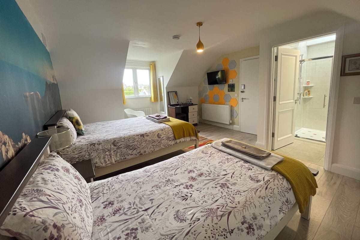 A bedroom with two beds, a desk, a chair, a TV, and a shower area.